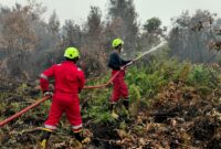 PT TIMAH Terjunkan 15 Fire Fighter Bantu Penanganan Karhutla di Kalimantan Barat